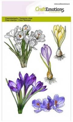 130501 1252 craftemotions clearstamps a6 crocus