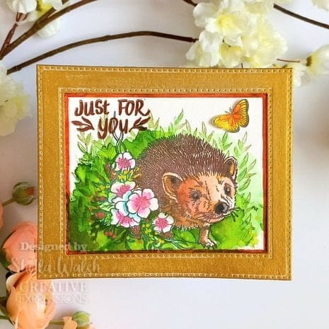 UMSDB149 creative expressions designer boutique clear stamp a6 over the hedge 2