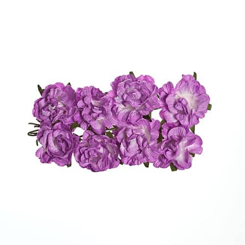 SCB280605 curly rose lilac