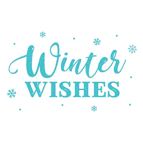 SCSTP036X20 2 Simply Creative Winter Wishes stamp