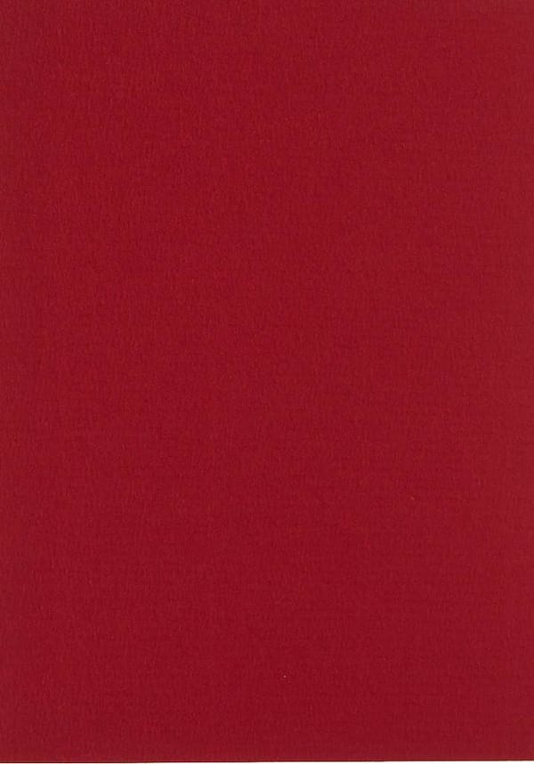 301943 Papicolor 6x cardboard A4 christmas Red