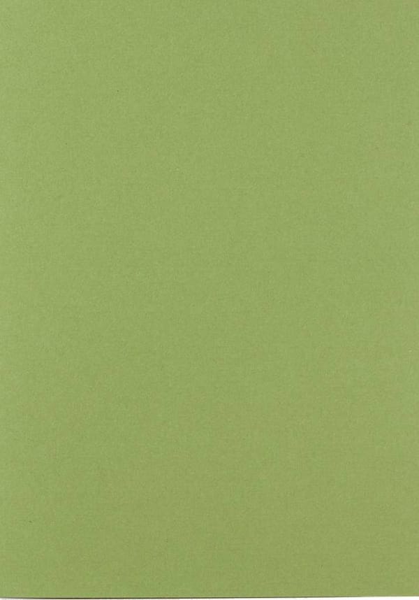 301954 Papicolor 6x cardboard A4 Army Green