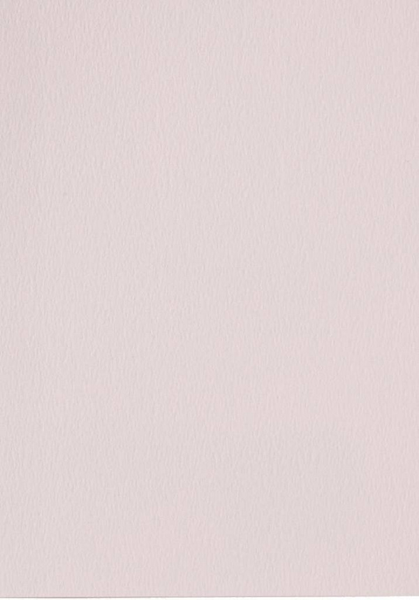 301923 Papicolor 6x cardboard A4 Light Pink